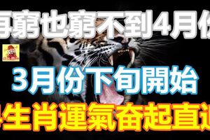 再窮也窮不到4月份，3月份下旬開始，4生肖運氣奮起直追