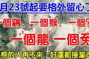 3月23號開始，一個雞，一個猴，一個龍，一個？，一個兔。