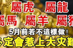 屬馬、羊、猴、虎、龍的人！5月前若不這樣做！必定會惹上大災難，趕緊告訴身邊的人