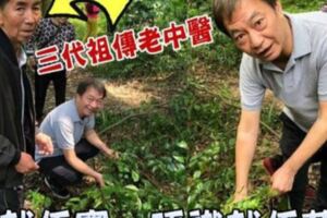 轉行做老中醫！62歲前TVB一線小生分享上山采藥片段大惹關注