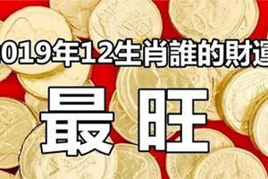 2019年十二生肖誰的財運最旺！是你嗎