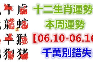 十二生肖運勢：本周運勢【06.10-06.16】千萬別錯失！