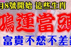 7月8號開始鴻運當頭，富貴不愁不差錢的生肖