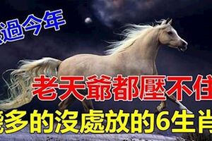 熬過今年啥都好，今年還債苦呵呵，明年發財美滋滋的六大生肖