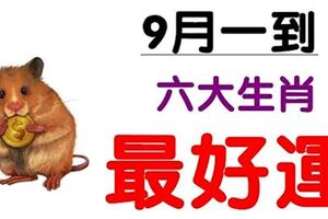 9月一到，黴運走到頭，好運接二連三，賺錢賺不停的生肖