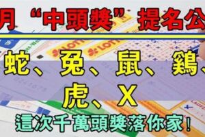 九月「中頭獎」提名公布：生肖蛇、兔、鼠、雞、虎、X，這次千萬頭獎落你家