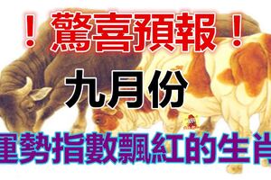 驚喜預報！九月運勢指數飄紅的生肖