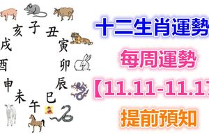 十二生肖運勢：每周運勢【11.11-11.17】提前預知！