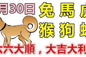 5月30日生肖運勢_兔、馬、虎大吉