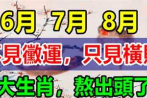 6月份到8月份不見黴運，只見橫財的生肖