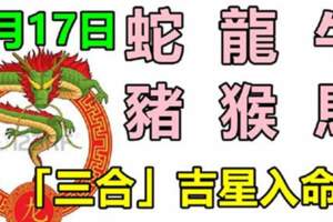 6月17號生肖運勢_蛇、龍、牛大吉