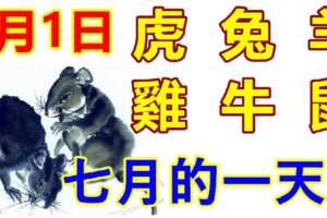 7月1日生肖運勢_虎、兔、羊大吉