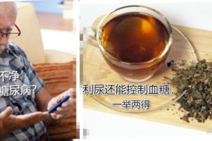 沒事喝一喝這4種茶，不僅利尿還能控制血糖，一舉兩得