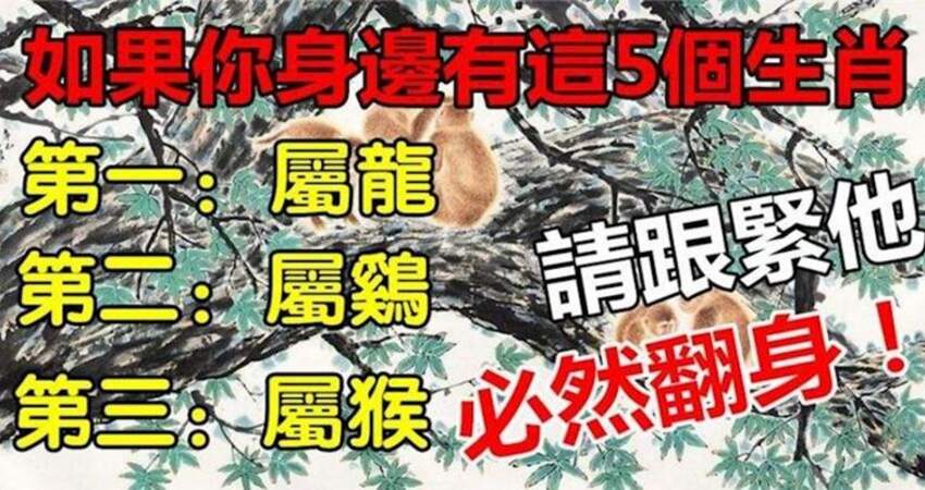 你身邊有這五個生肖，請跟緊他