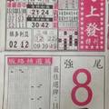 1/11  馬上發特刊-六合彩參考