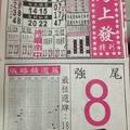 12/5  馬上發特刊-六合彩參考.jpg