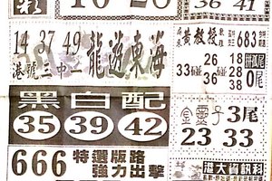 12/31  中國新聞報-六合彩參考