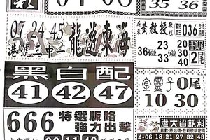 1/26  中國新聞報-六合彩參考