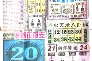 2/7  中國新聞報-六合彩參考
