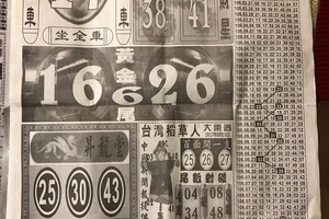 8/15  中國新聞報-大樂透參考