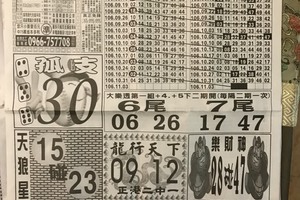 11/3  中國新聞報-大樂透參考.jpg