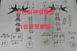 11/12  白鶴仙姑-六合彩參考.jpg