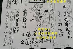 11/16  濟公活佛下降示 第二公籤-六合彩參考.jpg