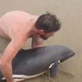 他在海邊發現一隻海豚擱淺後立馬衝上前，用盡全力做了一件會讓大家心裡溫暖一整天的事！