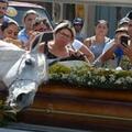 ​這匹馬兒參加了相處8年主人的葬禮，結果牠「一看到棺材的反應」讓現場所有人都落淚了…