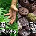 14種「大家很愛，但是用超過致命份量」就會造成馬上死掉的物質！