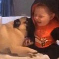 當巴哥犬遇上愛笑的6個月大的寶寶時，牠當下立馬被笑聲感染到「萌攻」小寶寶！