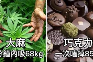 14種「大家很愛，但是用超過致命份量」就會造成馬上死掉的物質！