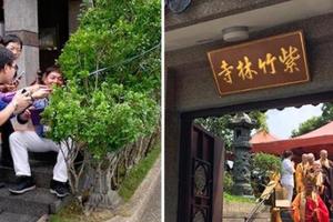 佛祖出世？「3000年才開一次」的佛家花在寺廟遍地盛開，信徒瘋朝聖發現它長這樣！